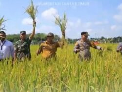 Sekda Sapril Panen Padi GEMPITA, Sekaligus Peresmian Saung Tani Di Desa Suka Maju