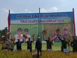 Wabup Tanjab Timur Robby Hadiri Panen Lokasi Opla Bersama Tim Monev Mabes TNI