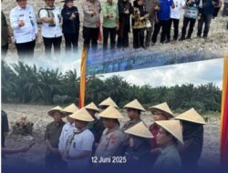 Ketua DPRD Hj. Zilawati, S.H Ikut Program Akselerasi Menteri Impas dan Ketahanan Pangan Menanam Jagung Hibrida di Lapas Kelas IIB